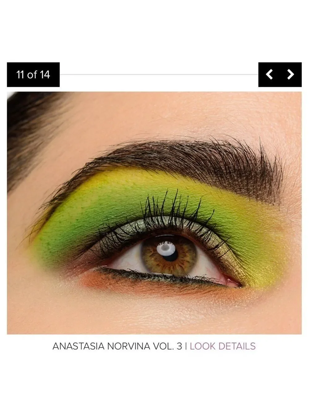 Anastasia Beverly Hills Norvina Vol 3 Pro Pigment Palette